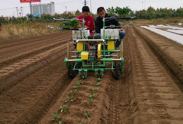 自走式雙行蔬菜移栽機