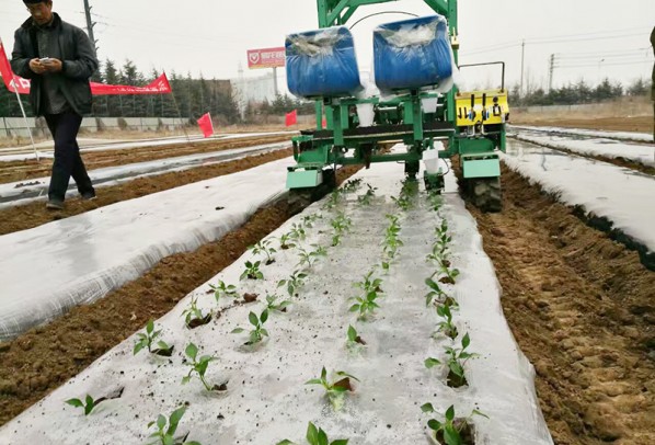 蔬菜移栽機