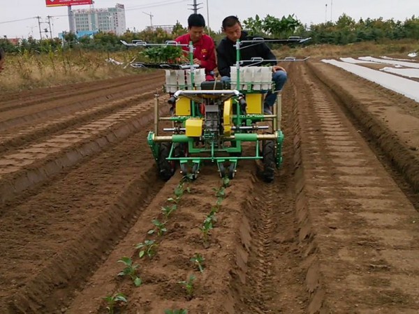 自（zì）走式雙（shuāng）行蔬（shū）菜移栽機