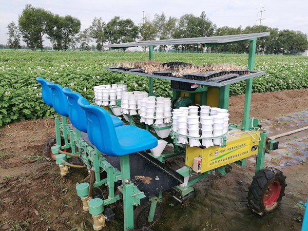 牽引四行蔬菜移栽機