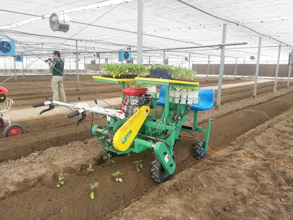 西紅柿、甜菜、甘藍移栽機